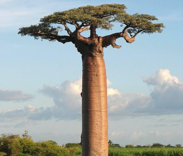 Africa's Top Underrated Travel Destinations