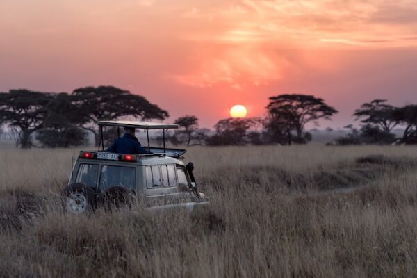 Uncovering the Hidden Gems of Tanzania: A Comprehensive Guide