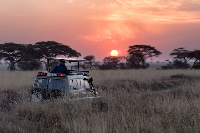 Uncovering the Hidden Gems of Tanzania: A Comprehensive Guide