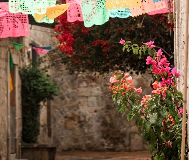 Exploring the Rich History and Culture of Mexico City