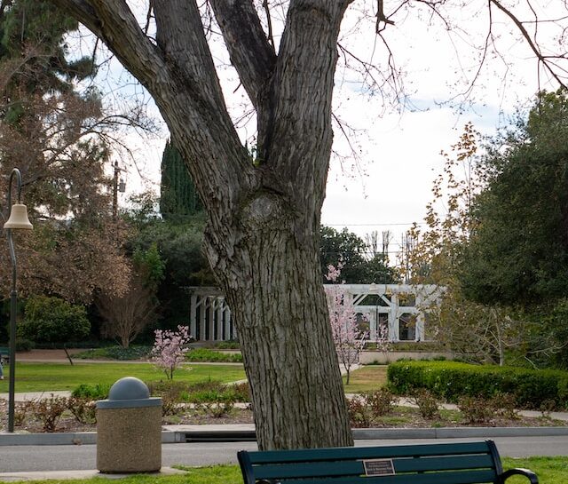 Uncovering the Secret Beauty of Australia's National Parks