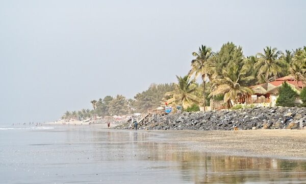 Gambia's Vibrant Music Scene: A Journey Through Traditional and Modern Sounds