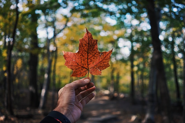 The Ultimate Canadian Road Trip: From Coast to Coast