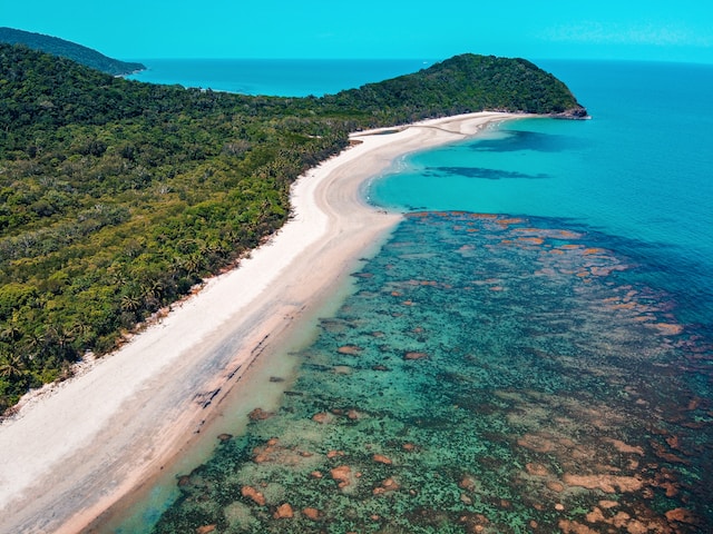 Reasons Why Cairns is the Ultimate Tropical Destination