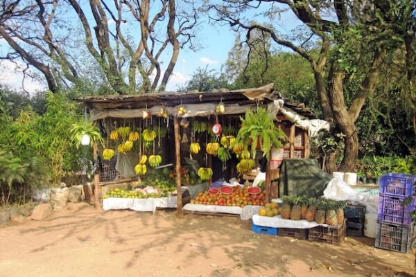 The Ultimate Shopping Guide: Nairobi's Best Markets and Boutiques